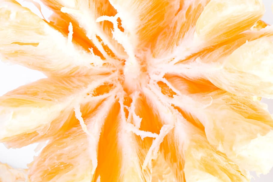 close-up, closeup, diet, dieting, eating, food, fresh, freshness HD wallpaper