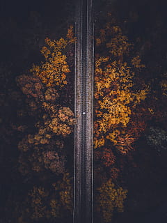 aerial view of railroad, forest, down, hike, man, tree, drone HD wallpaper