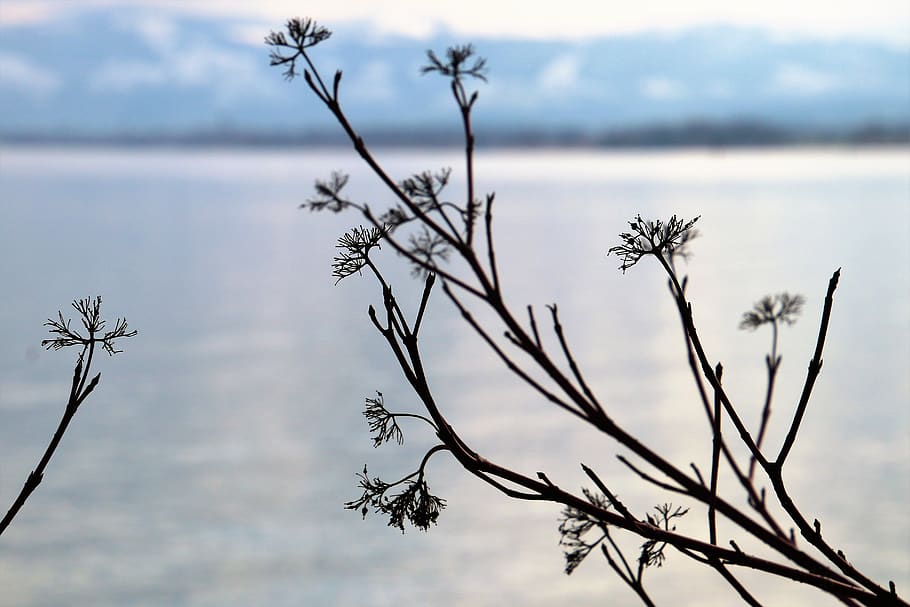 nature, tree, sky, landscape, monolithic part of the waters HD wallpaper