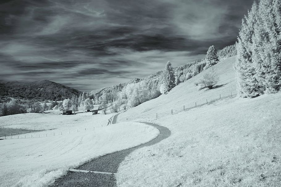 gray scaled photo of field, snow, forest, path, sky, dark, cloud HD wallpaper