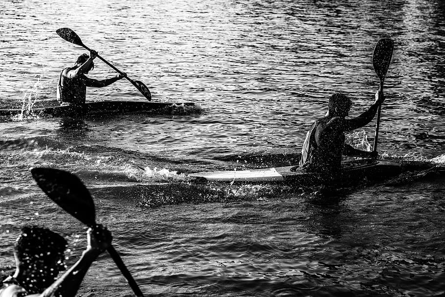 three men paddling kayak on water, boat, commitment, workout HD wallpaper