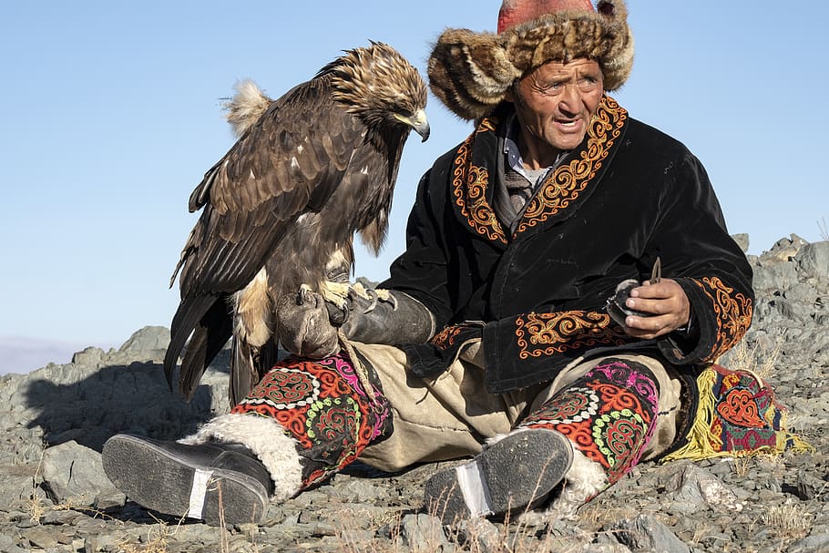 man in black jacket holding eagle, sitting, real people, one person HD wallpaper