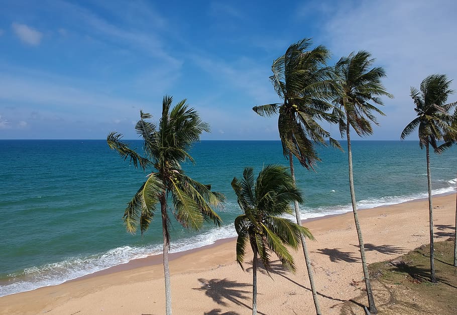 Photo of Coconut Trees on Beach, horizon, idyllic, nature, ocean HD wallpaper
