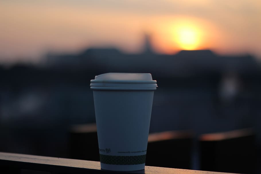 white plastic cup, drink, food and drink, focus on foreground HD wallpaper