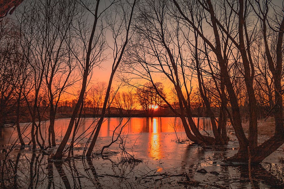 pond, lake, evening, sun, sunset, nature, water, landscape HD wallpaper
