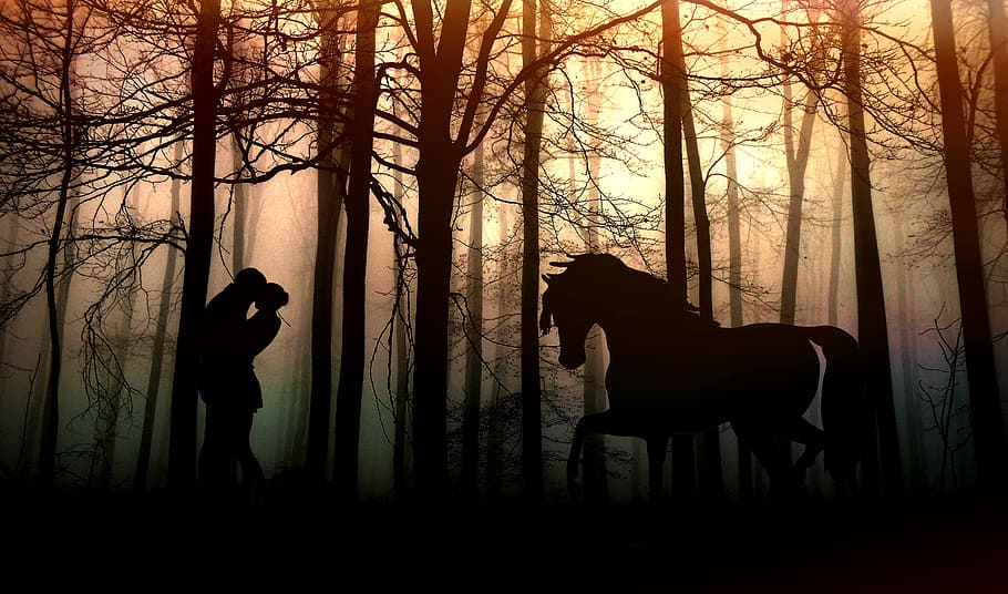 lovers, human, activity, girl, boy, tree, silhouette, mammal HD wallpaper