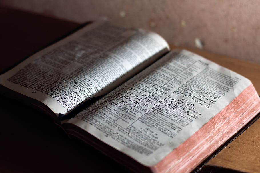 home, things, books, writings, bible, publication, education HD wallpaper