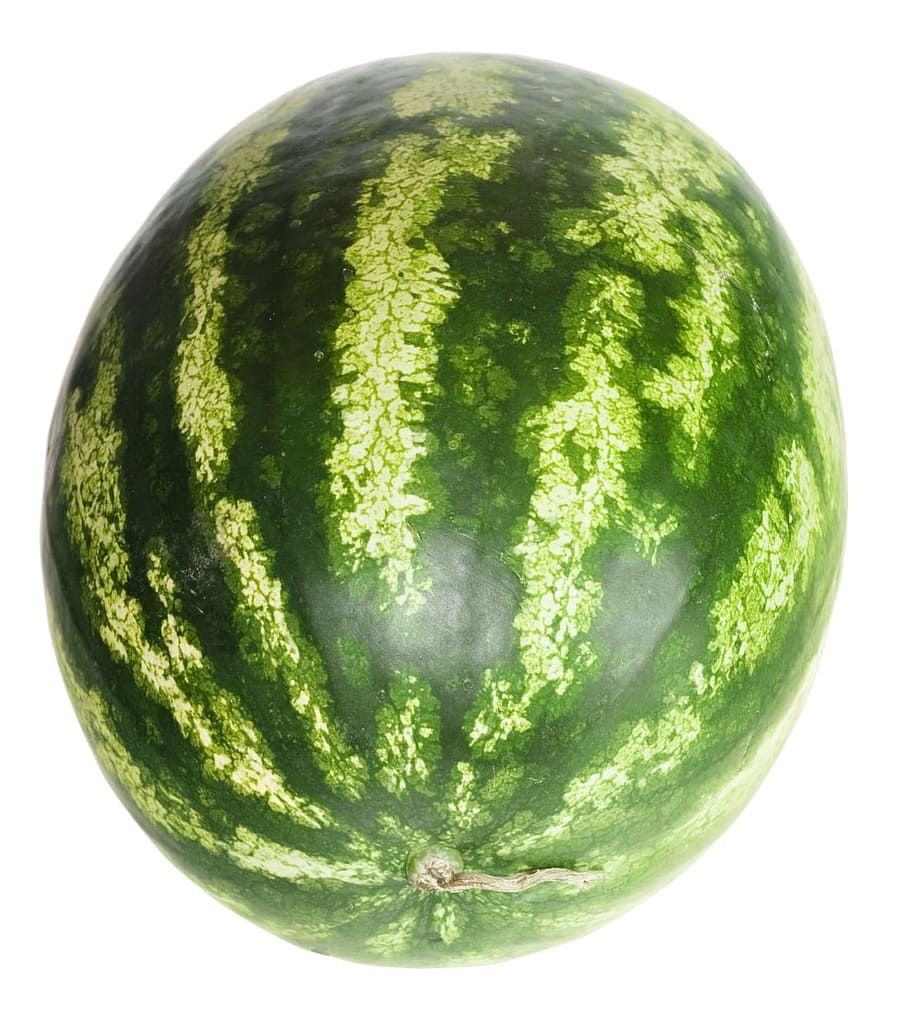 watermelon, close-up, closeup, diet, dieting, eating, food HD wallpaper