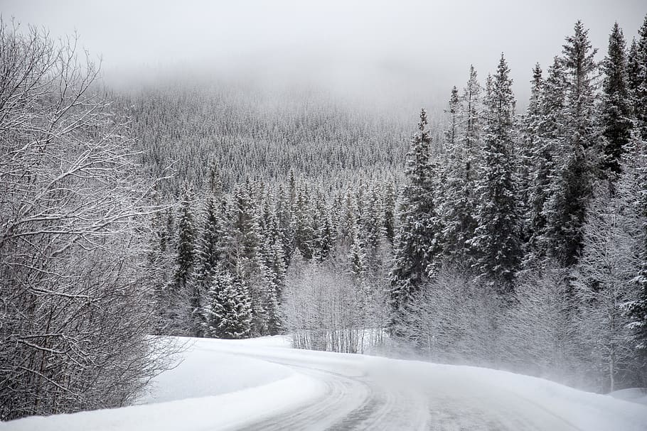 Free: Snowy winter background, gray sky