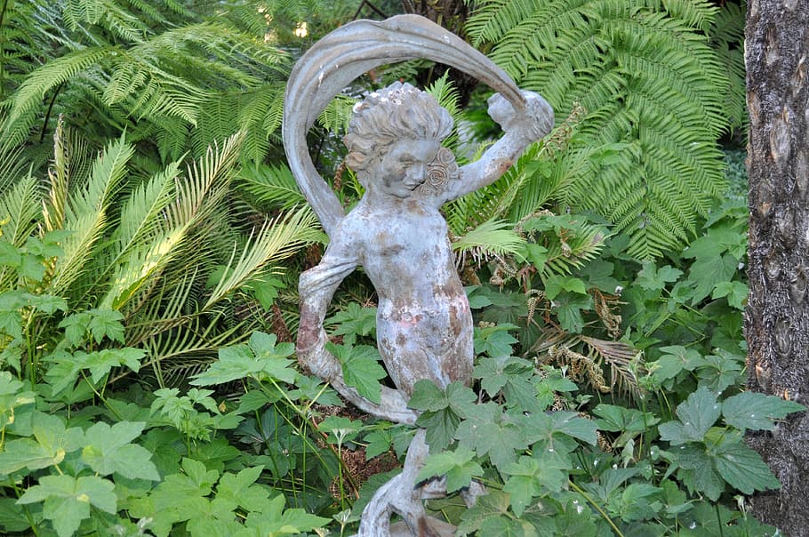 ferns, greenery, garden, nature, statue, animal skull, bone HD wallpaper