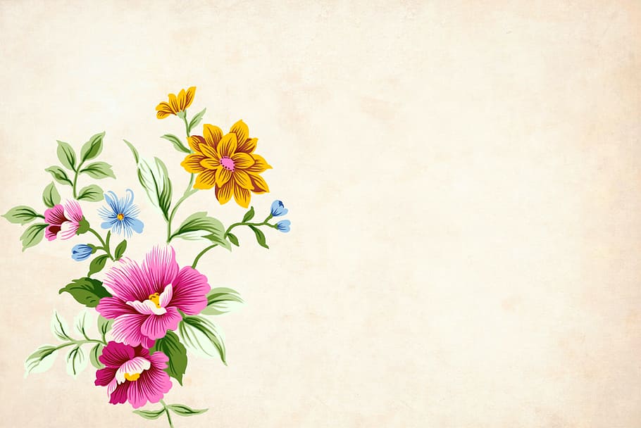 flowers with copyspace, background, floral, border, garden frame, HD wallpaper