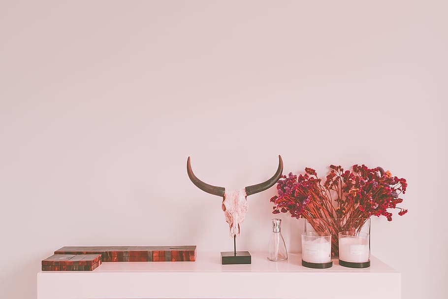 house, interior, design, display, table, horn, flower, vase HD wallpaper