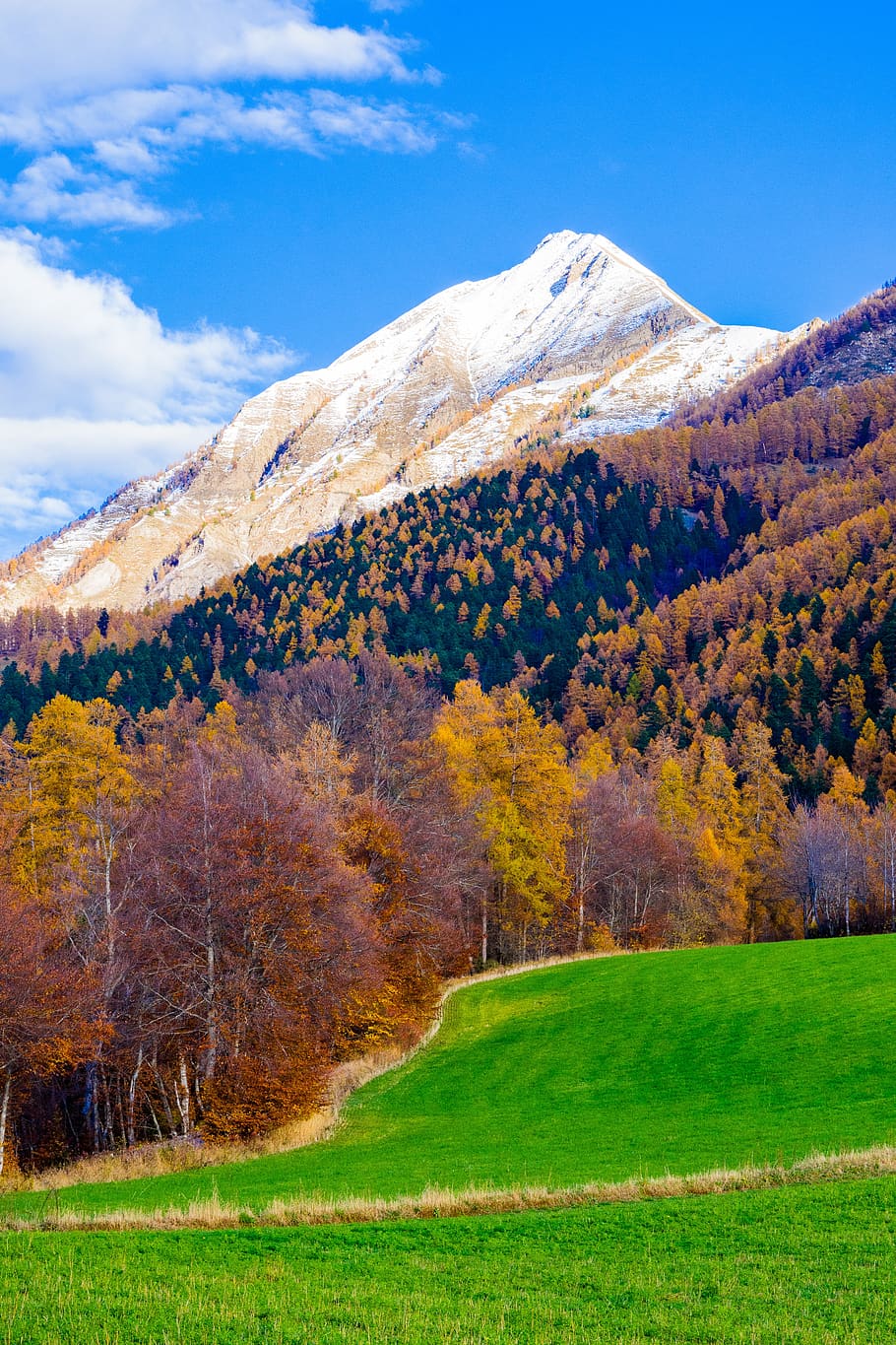 mountain, fall, landscape, nature, view, sky, tree, alpine HD wallpaper