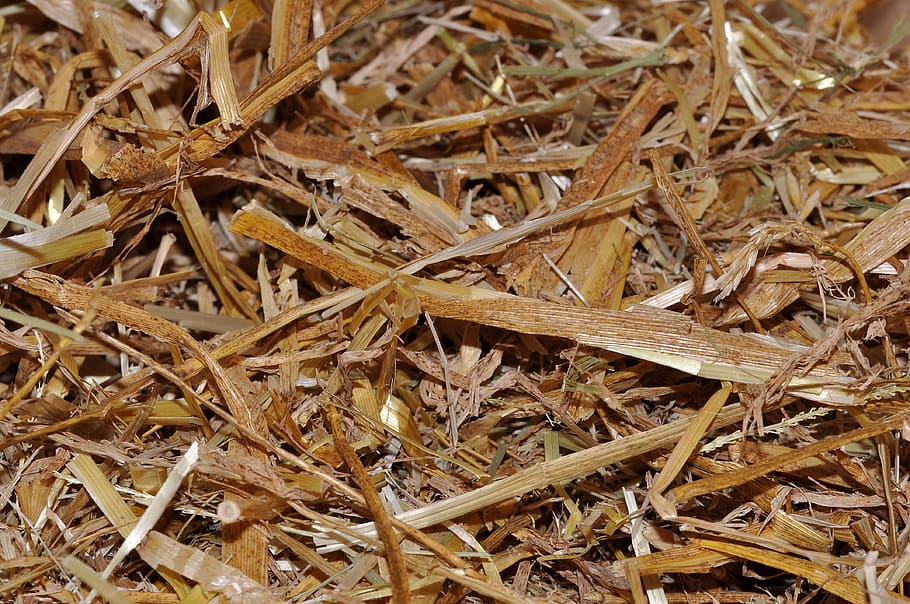 wood, straw, tree, pieces, brown, Texture, full frame, backgrounds HD wallpaper
