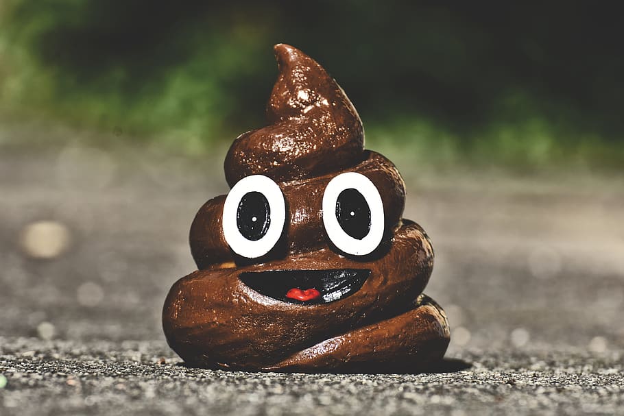 Download Poop wallpapers for mobile phone free Poop HD pictures