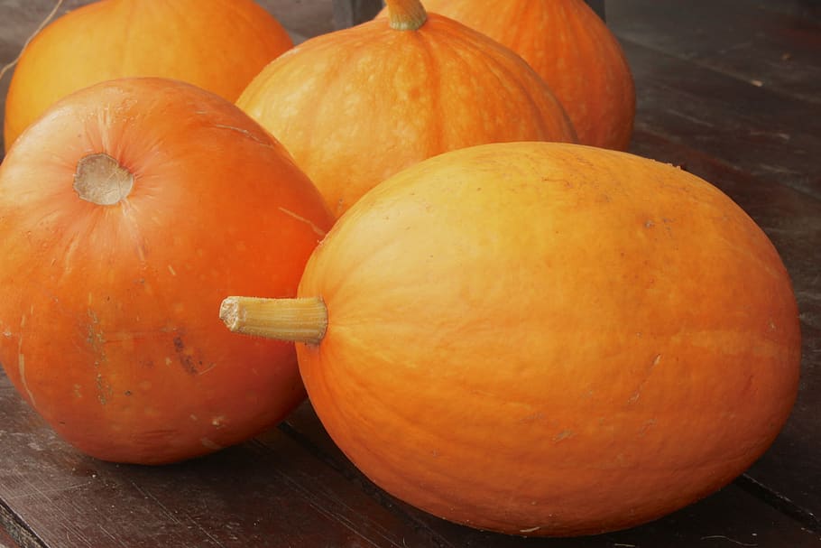 pumpkins, vegetables, autumn, halloween, orange, eating, collections HD wallpaper