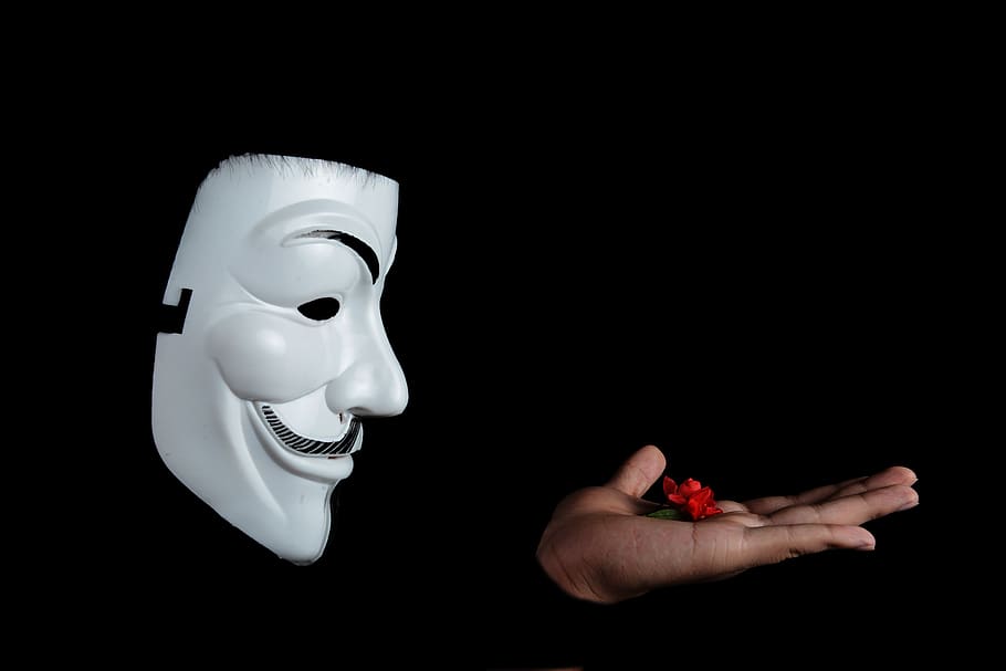 Photo of Guy Fawkes Mask With Red Flower on Top on Hand, activist HD wallpaper