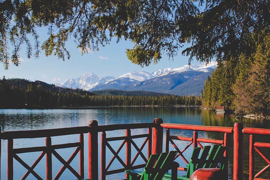 canada, jasper, forest, alberta, mountains, mist, green, colour HD wallpaper