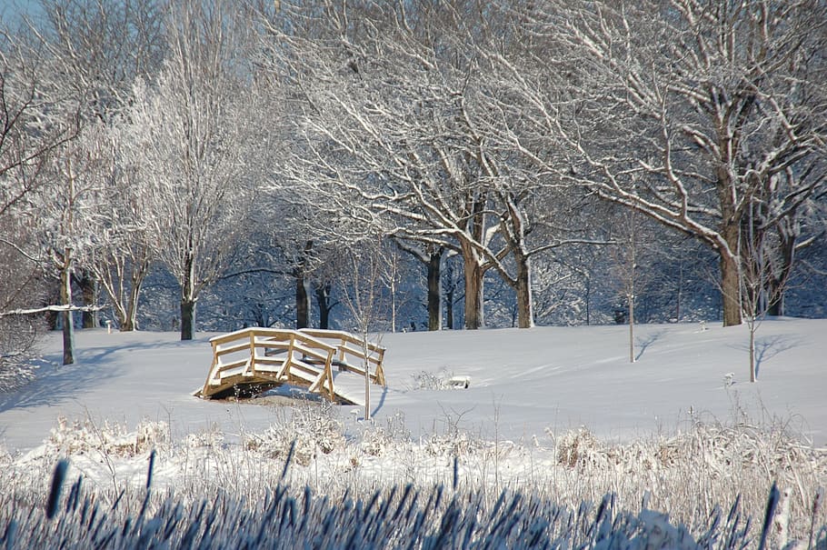winter, bridge, snow, trees, landscape, cold temperature, plant HD wallpaper