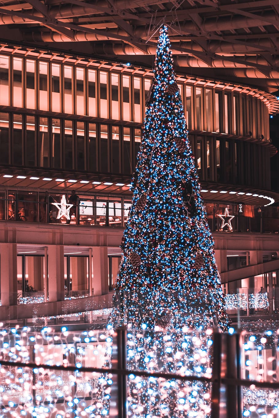 turned-on giant Christmas tree, plant, ornament, human, person HD wallpaper