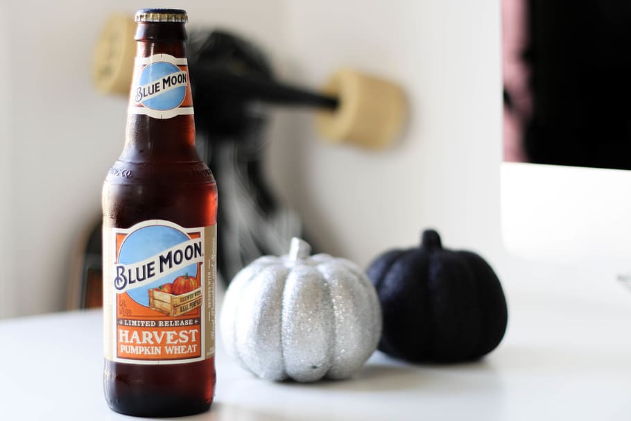 beer, drink, drinks, cold, beverages, pumpkins, shiny, skate HD wallpaper