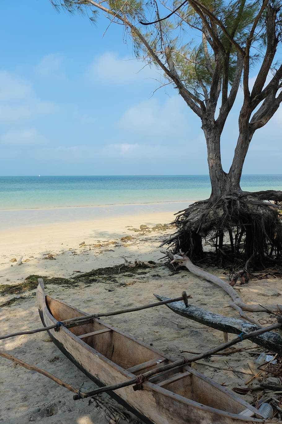 water, sea, sky, horizon over water, scenics - nature, tree HD wallpaper
