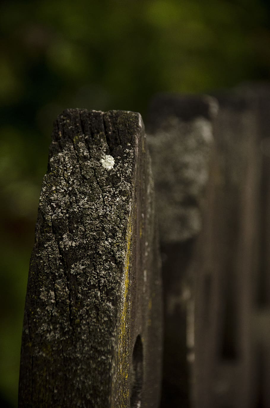 wood, material, textures, background, surface, pattern, old HD wallpaper
