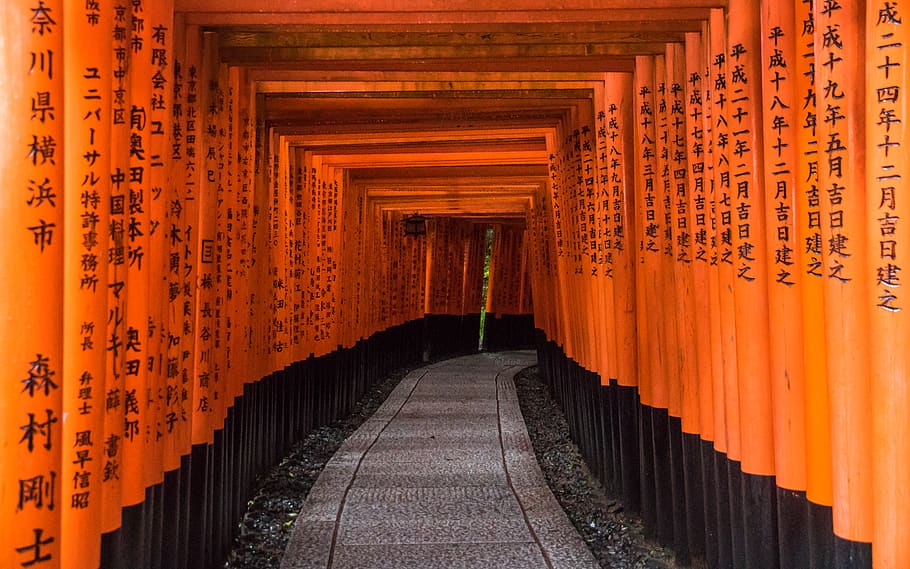 japan, kyōto-shi, fushimi inari taisha, kyoto, wallpaper, gates, HD wallpaper