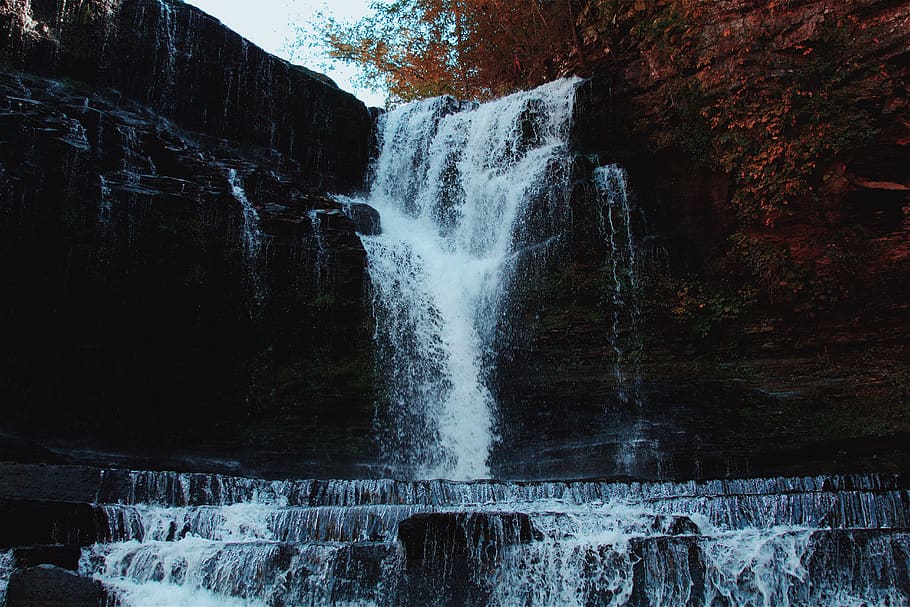 trees, forest, waterfall, motion, flowing water, scenics - nature HD wallpaper