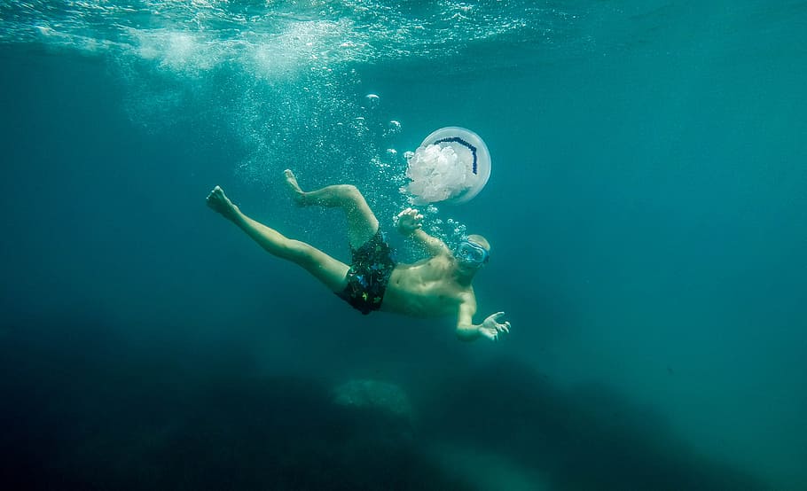 underwater photography of man near on jellyfish, human, body, HD wallpaper