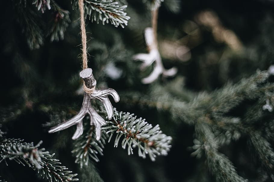 Chic holiday decor, tree, decorations, christmas, Christmas balls HD wallpaper