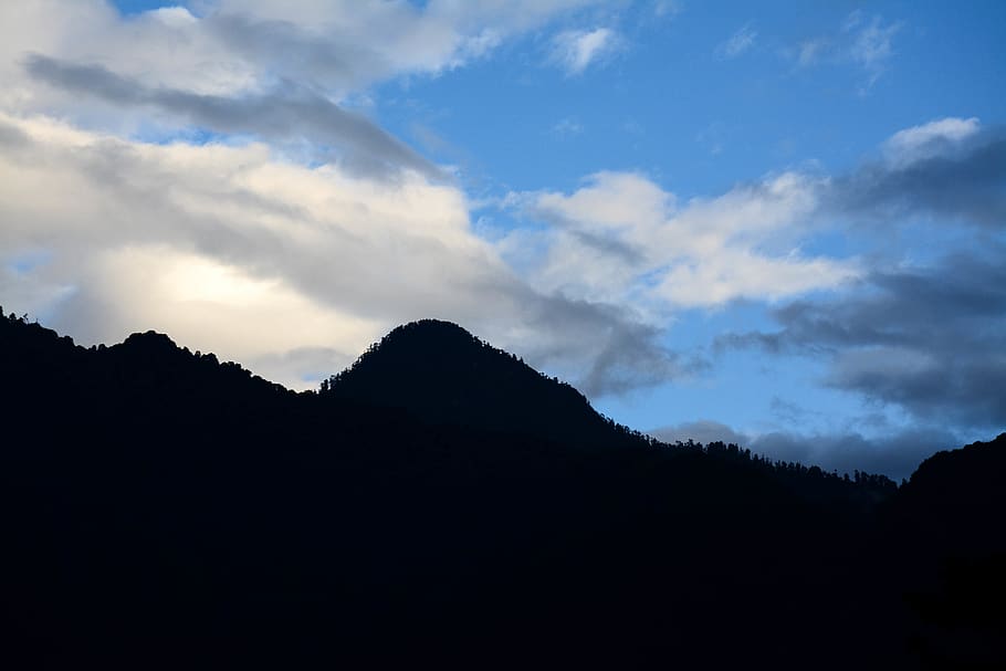 trees, mountains, forest, clouds, fog, silhouette, sky, cloud - sky HD wallpaper
