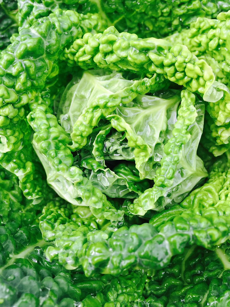 united states, berkeley, organic, healthy, green, diet, life HD wallpaper
