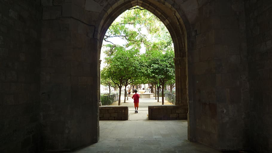 barcelona, spain, architecture, built structure, day, tree HD wallpaper