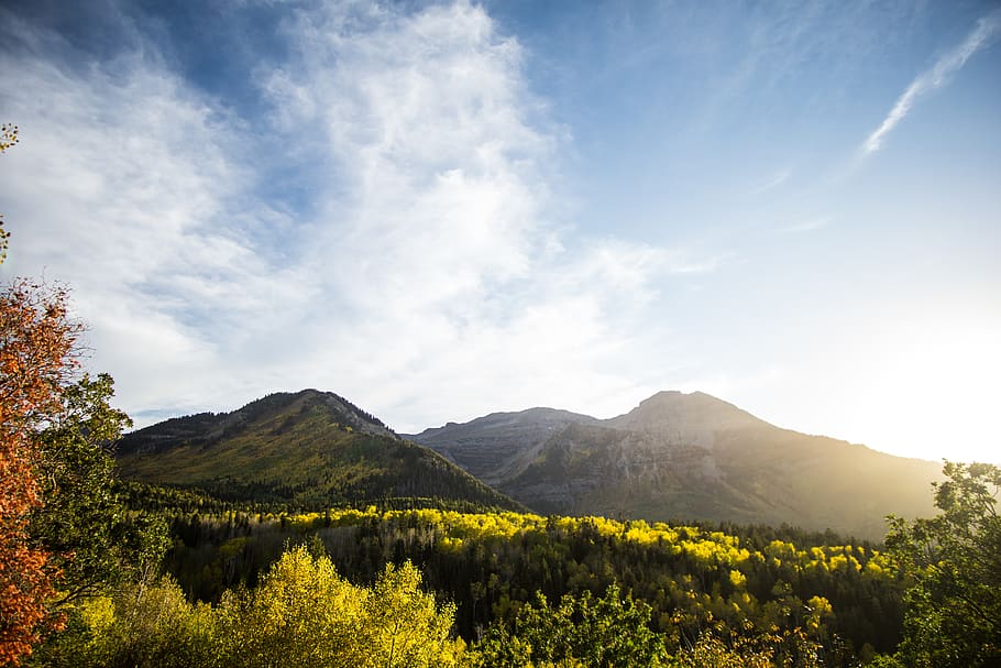 united states, provo, alpine loop, trees, fall, yellow, sky HD wallpaper