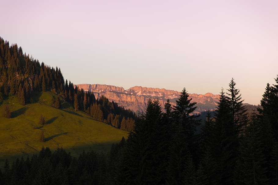 trees, mountain, sunrise, sky, blue, green, valley, plant, beauty in nature HD wallpaper