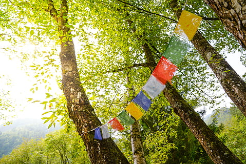 HD wallpaper: tibet, flags, buddhism, prayer, tibetan, prayers, color,  lhasa | Wallpaper Flare