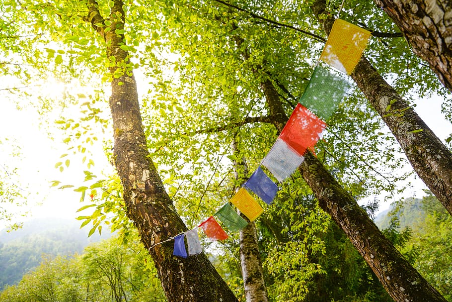 tibet, flags, buddhism, prayer, tibetan, prayers, color, lhasa, HD wallpaper