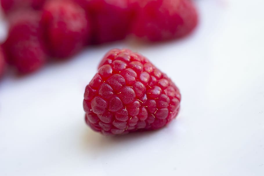plant, raspberry, food, fruit, sweets, confectionery, lip, mouth HD wallpaper
