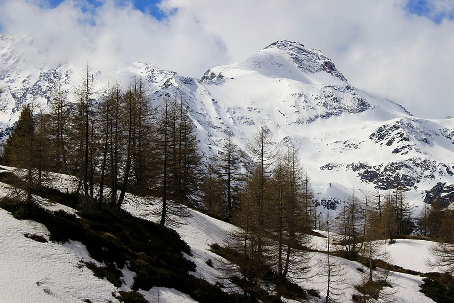 switzerland, simplon, simplon pass, summit, snow, trees, winter, HD wallpaper