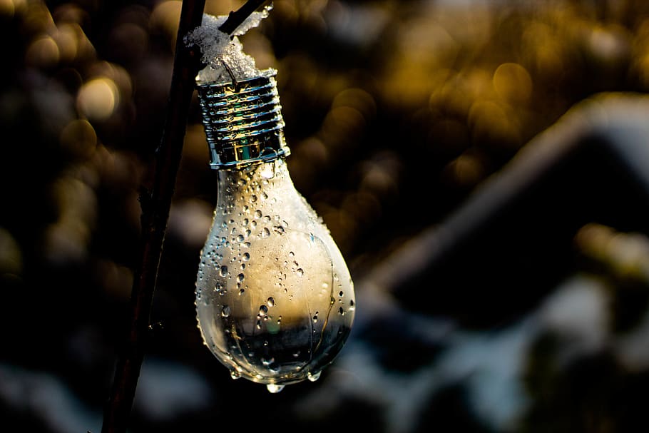 Shallow Focus Photography of Light Bulb, blurred background, close-up HD wallpaper