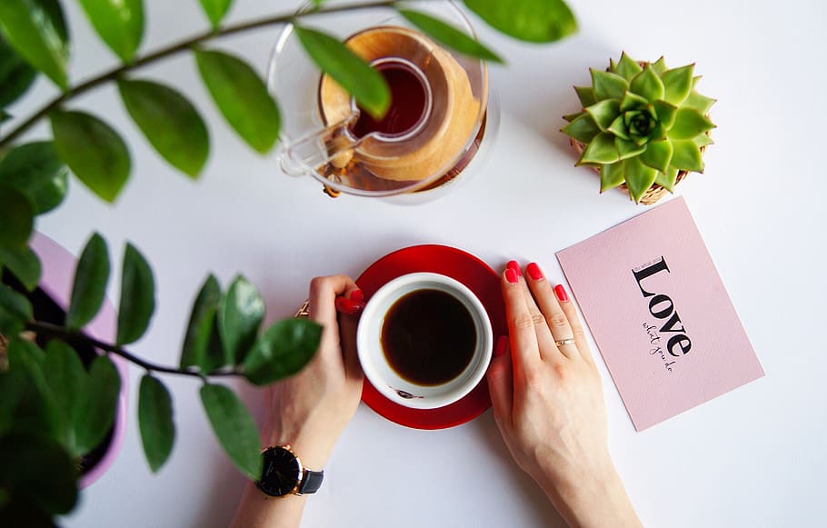 greens, coffee, hands, cup, cup in hands, morning coffee, nature HD wallpaper