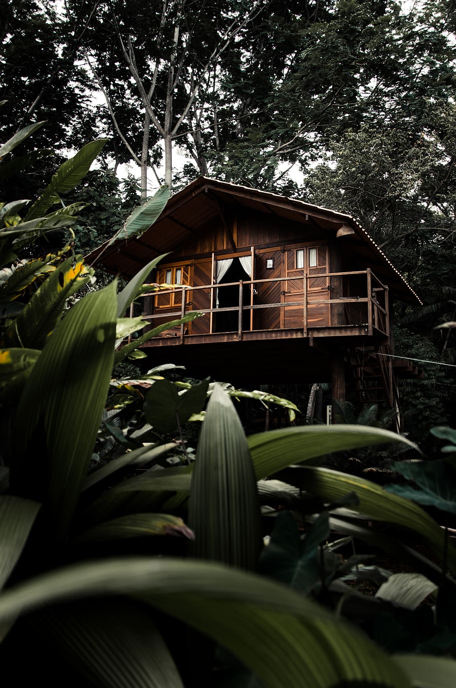 Wooden House, architecture, building, cabin, cottage, hut, plants HD wallpaper