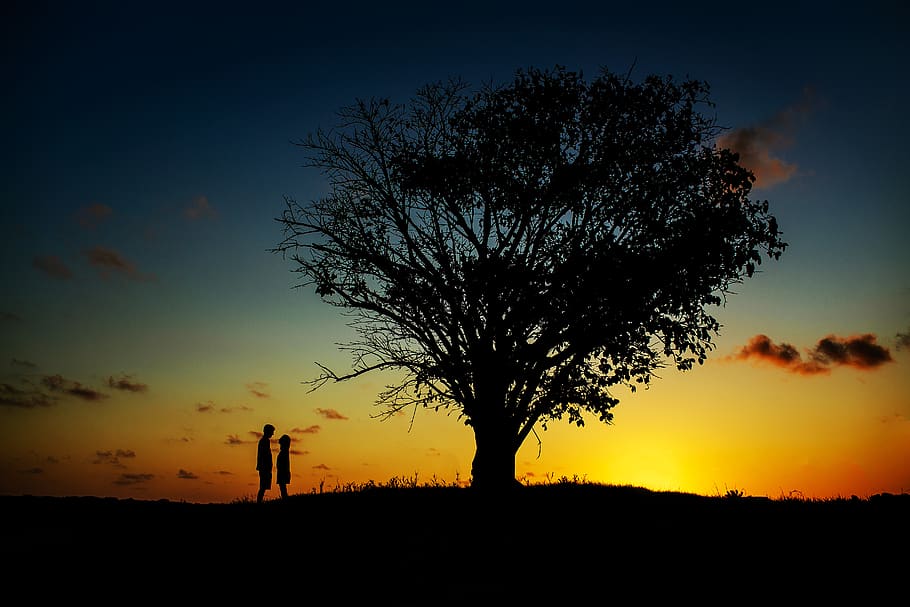 two people standing near tree, silhouette, sunset, sky, scenics - nature HD wallpaper
