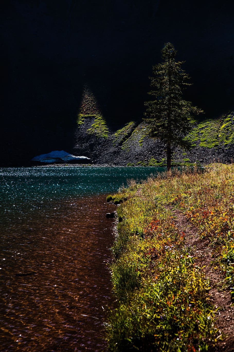 alpine, lake, forest, mountain, nature, patrick hendry, wyoming, HD wallpaper