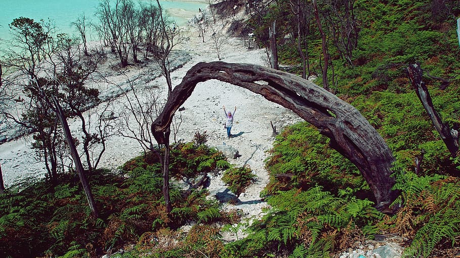 trees, lake, forest, tiny, people, holiday, plant, real people HD wallpaper