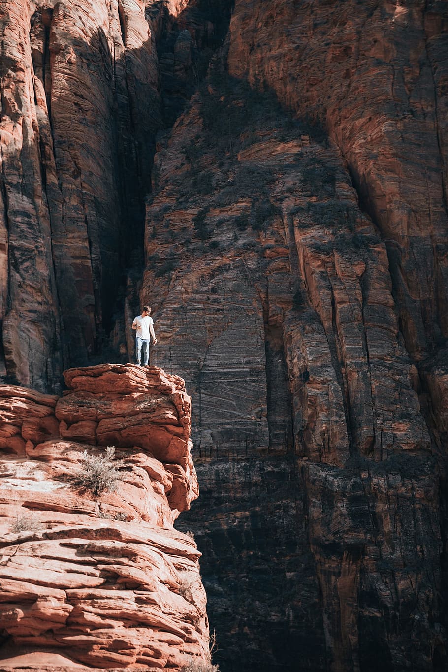 A young caucasian man standing on a layered rock in grand canyon, HD wallpaper