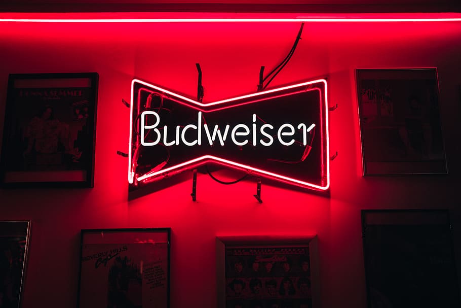 red Budweiser neon light wall decor, text, communication, sign