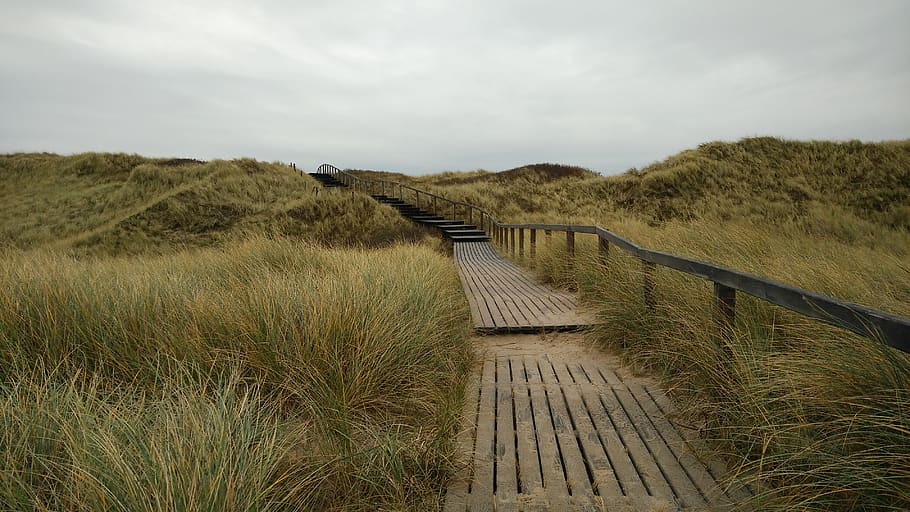 germany, sylt, rantum, rugged, gray sky, coast, outdoors, looking ahead HD wallpaper