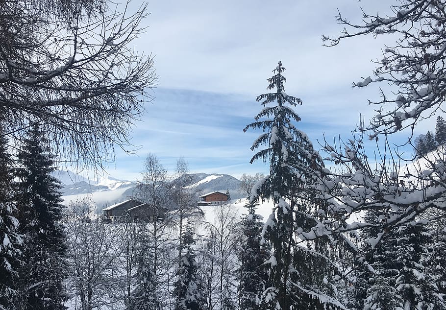 wintry, alpbach valley, alpine, snow, alm, mountains, austria HD wallpaper